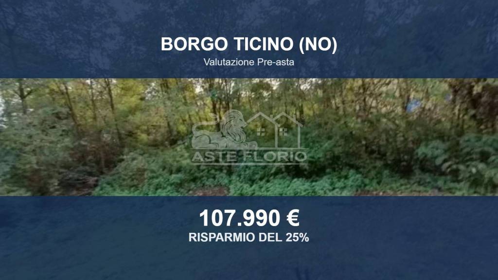 terreno edificabile in vendita a Borgo Ticino