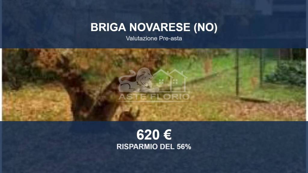 terreno edificabile in vendita a Briga Novarese