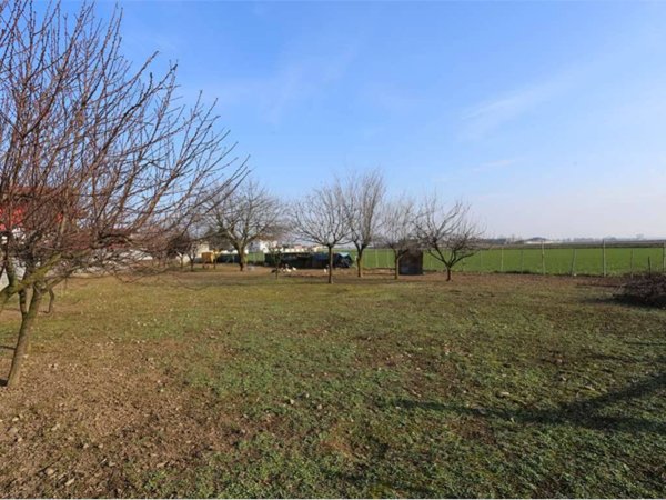 terreno agricolo in vendita a Caltignaga