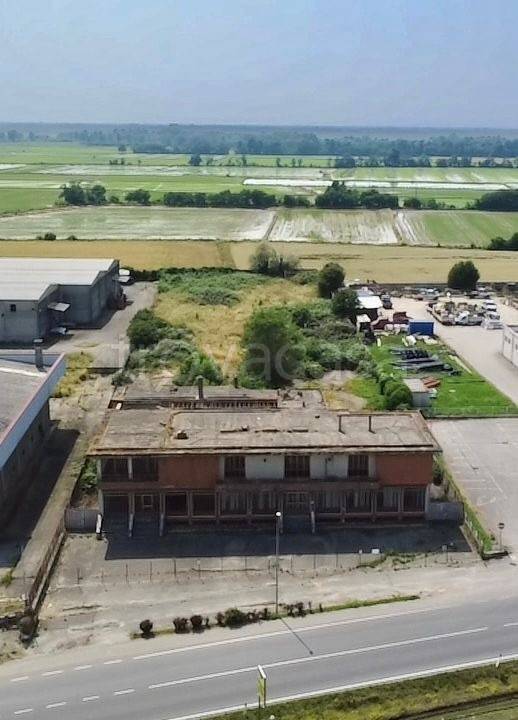terreno agricolo in vendita a Caltignaga