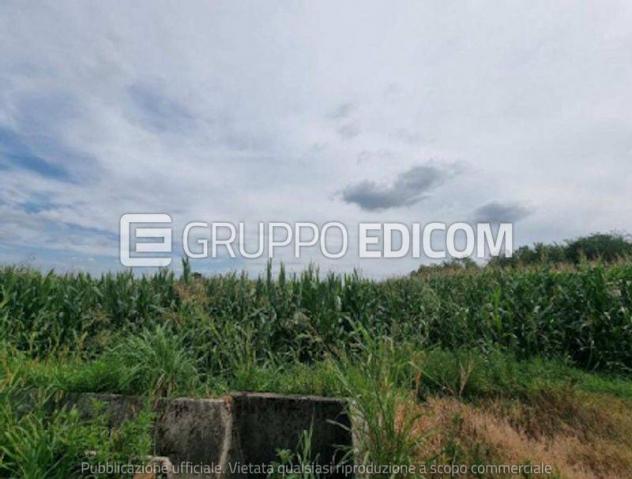 terreno agricolo in vendita a Cameri