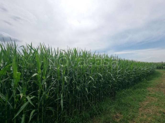 ufficio in vendita a Cameri