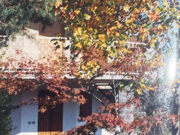 casa indipendente in vendita a Cameri in zona Nivellina