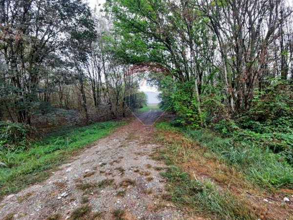 terreno agricolo in vendita a Casalbeltrame