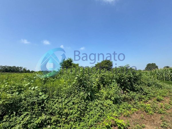 terreno agricolo in vendita a Casaleggio Novara