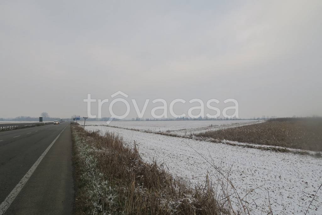 terreno agricolo in vendita a Casalino