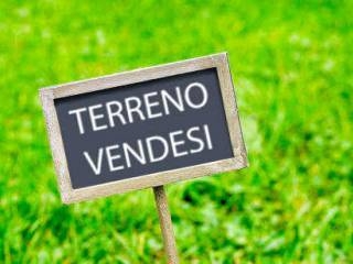 negozio in vendita a Casalvolone
