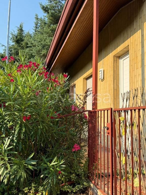 casa indipendente in vendita a Castelletto sopra Ticino