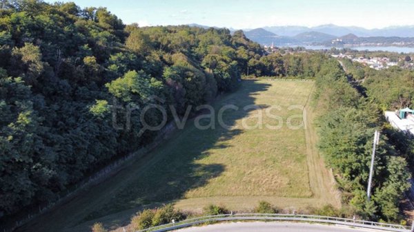 terreno agricolo in vendita a Castelletto sopra Ticino