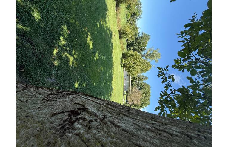 casa indipendente in vendita a Castelletto sopra Ticino