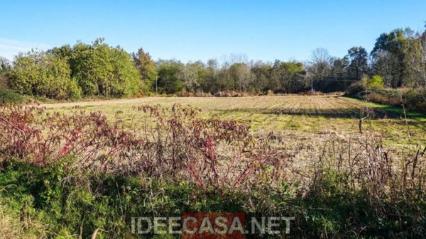 terreno agricolo in vendita a Cavaglietto