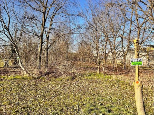 terreno agricolo in vendita a Cerano