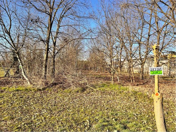 terreno edificabile in vendita a Cerano