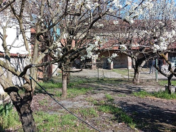casa indipendente in vendita a Cerano