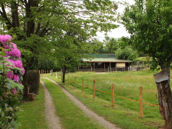 casa indipendente in vendita a Colazza