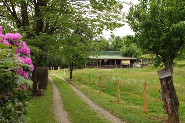 azienda agricola in vendita a Colazza