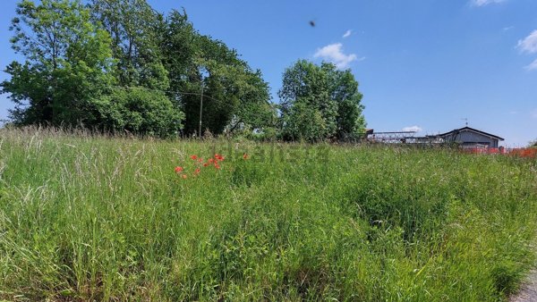 casa indipendente in vendita a Cureggio