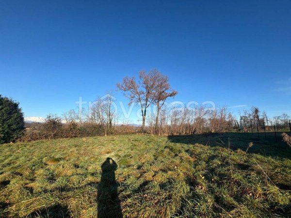terreno agricolo in vendita a Divignano