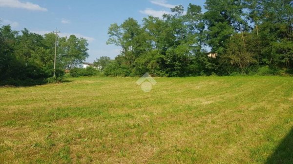 terreno agricolo in vendita a Divignano