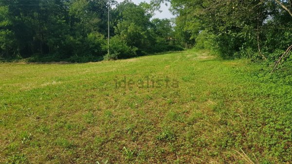casa indipendente in vendita a Divignano
