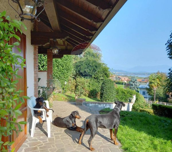 casa indipendente in vendita a Dormelletto