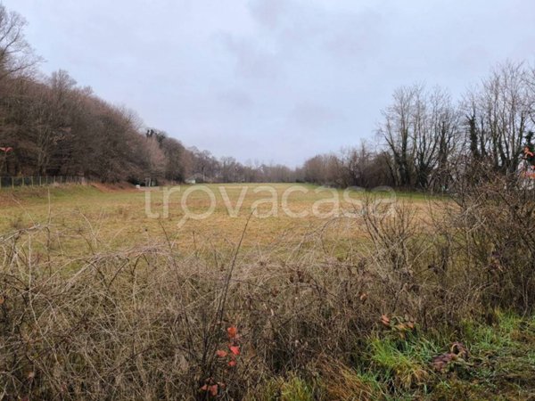 terreno agricolo in vendita a Dormelletto