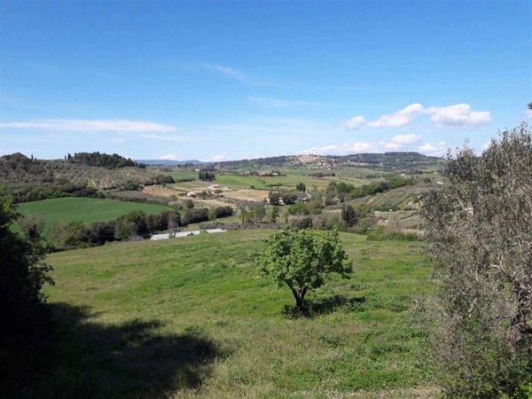 terreno agricolo in vendita a Bibbona