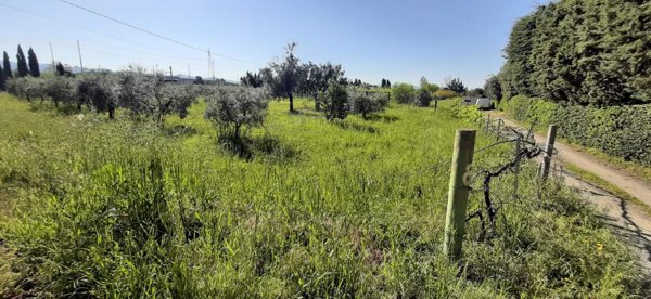 terreno agricolo in vendita a Bibbona in zona Marina di Bibbona