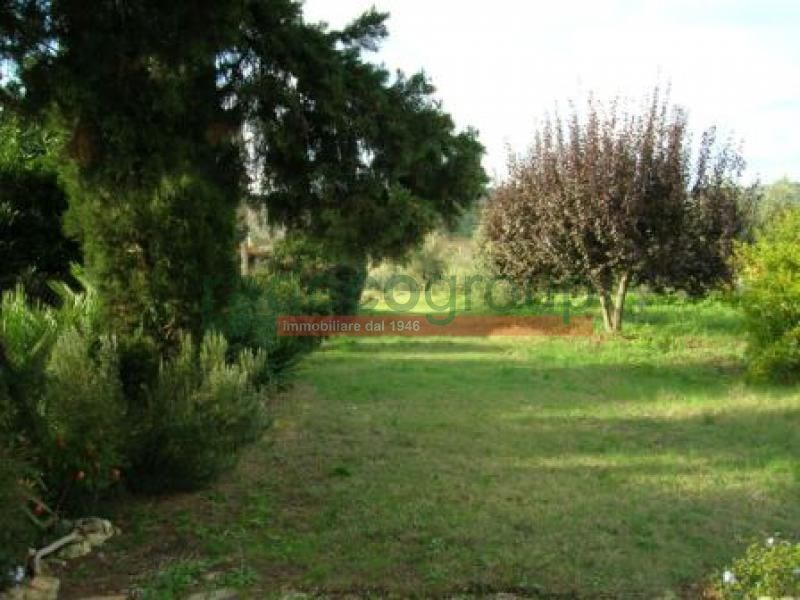 casa indipendente in vendita a Bibbona in zona Marina di Bibbona