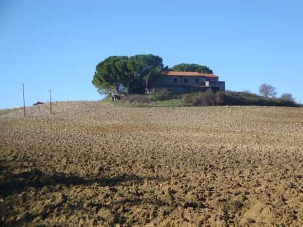 appartamento in vendita a Bibbona