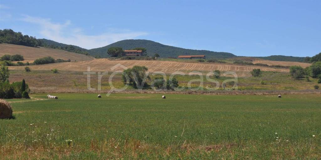 casa indipendente in vendita a Bibbona