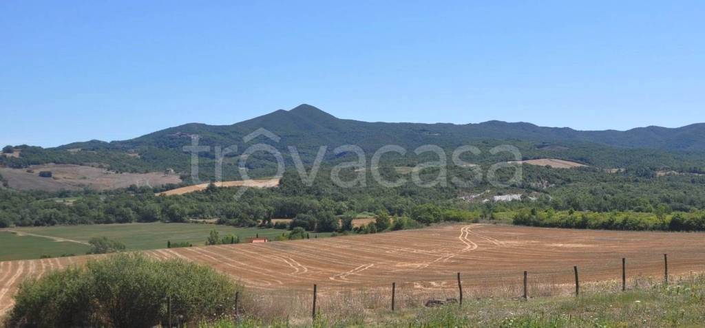 terreno agricolo in vendita a Bibbona
