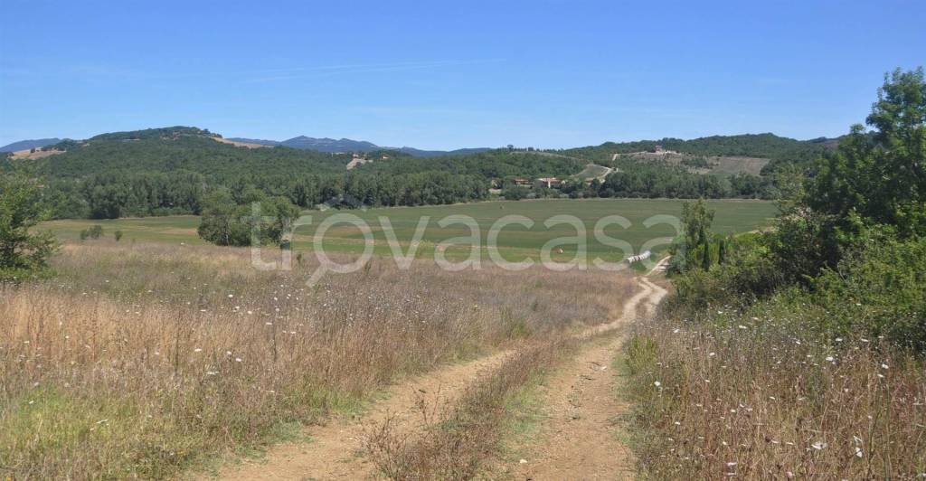 terreno agricolo in vendita a Bibbona
