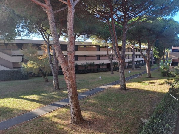 appartamento in vendita a Bibbona in zona Marina di Bibbona