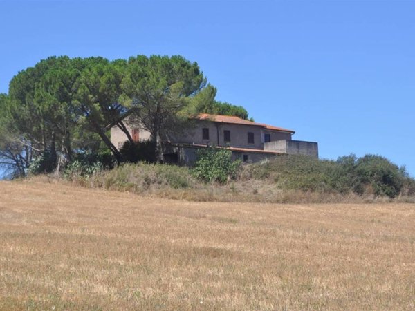 appartamento in vendita a Bibbona