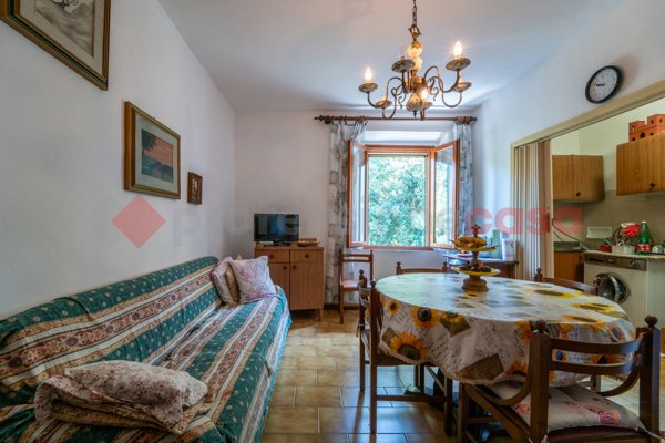 appartamento in vendita a Bibbona