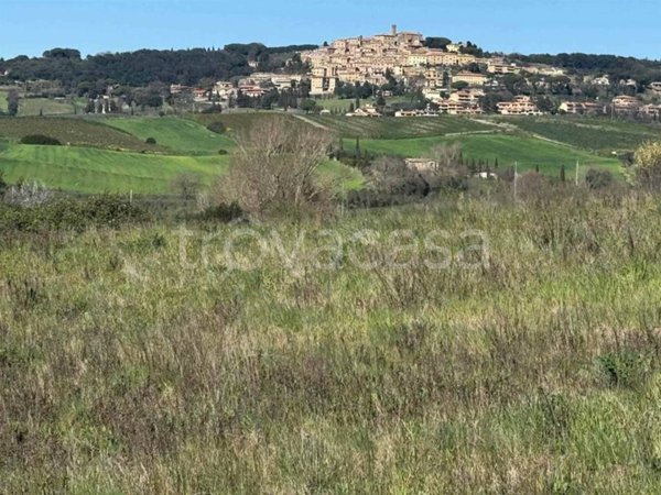 terreno agricolo in vendita a Bibbona