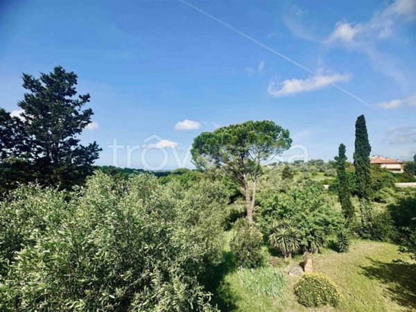 appartamento in vendita a Bibbona