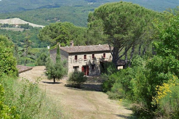 casa indipendente in vendita a Bibbona