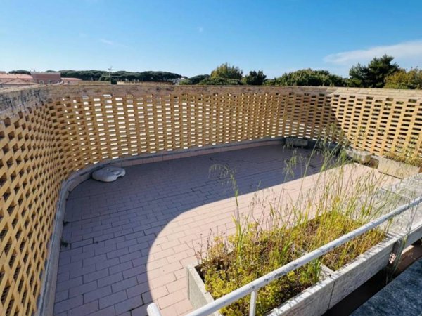 appartamento in vendita a Bibbona in zona Marina di Bibbona