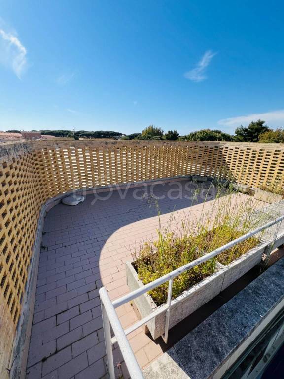 appartamento in vendita a Bibbona in zona Marina di Bibbona