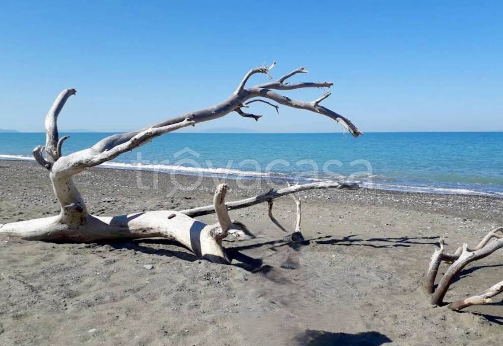 appartamento in vendita a Bibbona in zona Marina di Bibbona