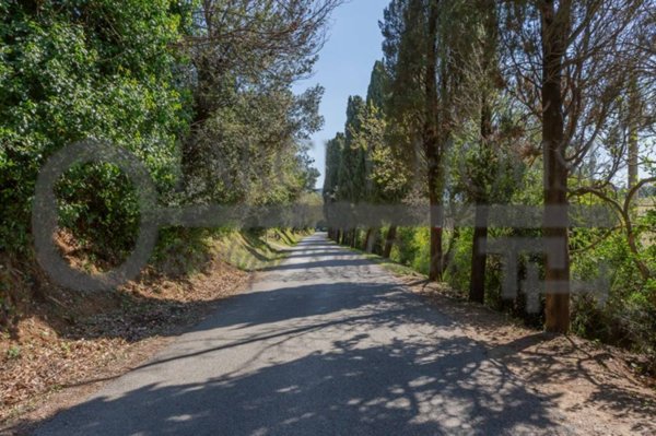 casa indipendente in vendita a Bibbona