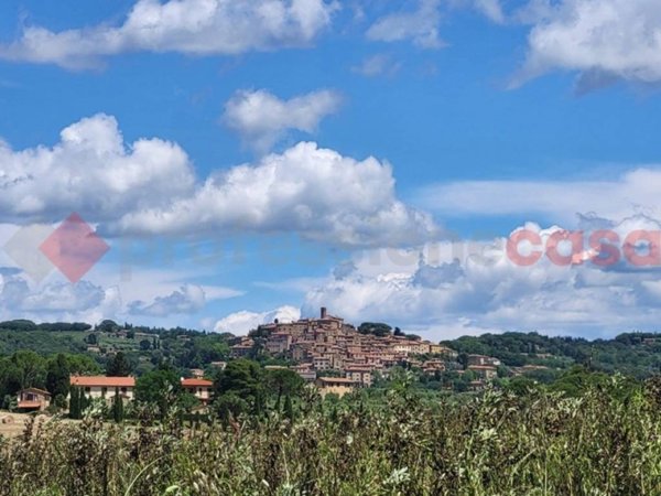 terreno agricolo in vendita a Bibbona