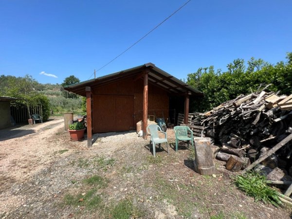 terreno agricolo in vendita a Bibbona