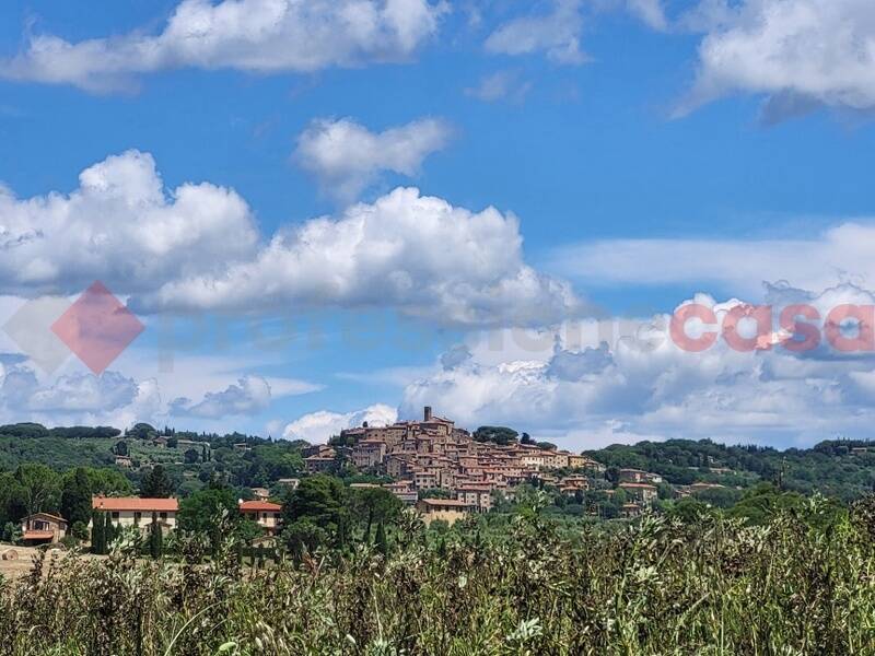 terreno agricolo in vendita a Bibbona