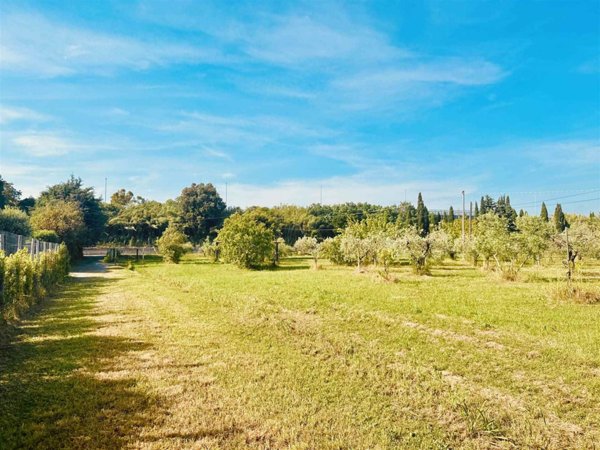terreno agricolo in vendita a Bibbona