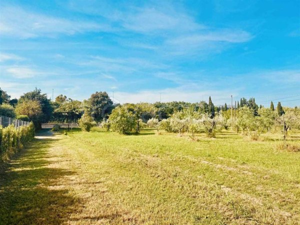 terreno agricolo in vendita a Bibbona in zona Marina di Bibbona