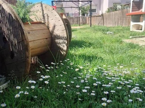 appartamento in vendita a Bibbona