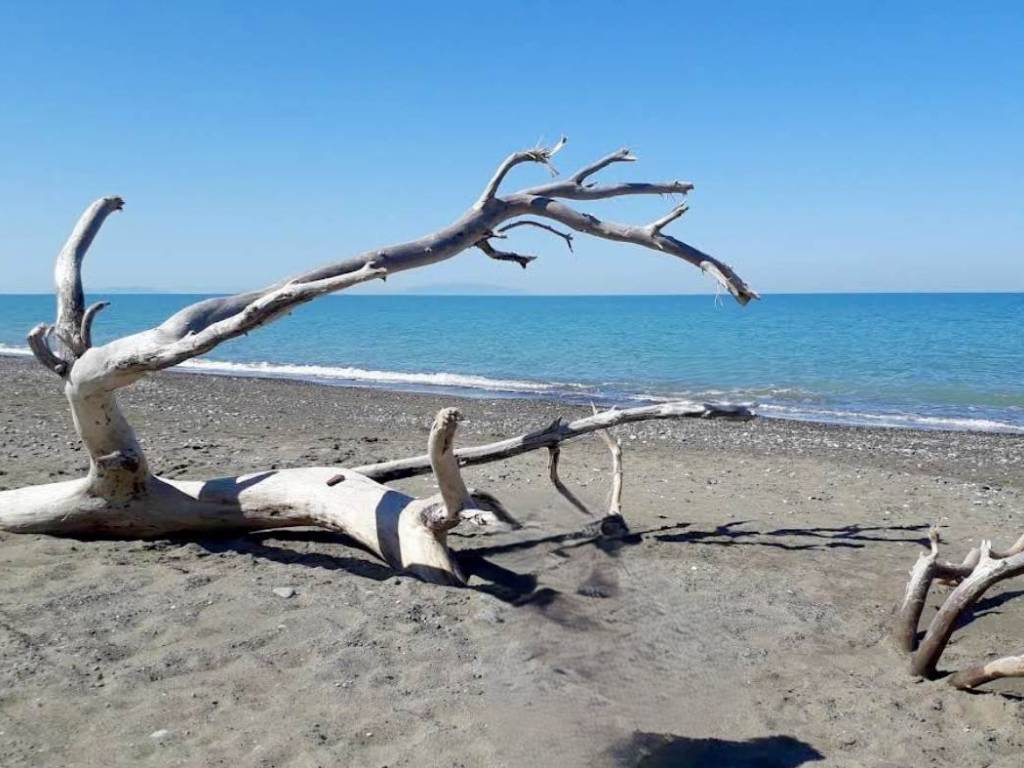 appartamento in vendita a Bibbona in zona Marina di Bibbona